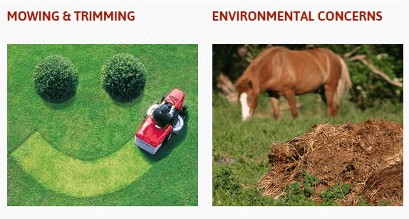 Earl’s Lawn Care