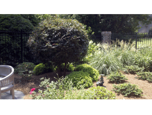 Directional Landscape Management